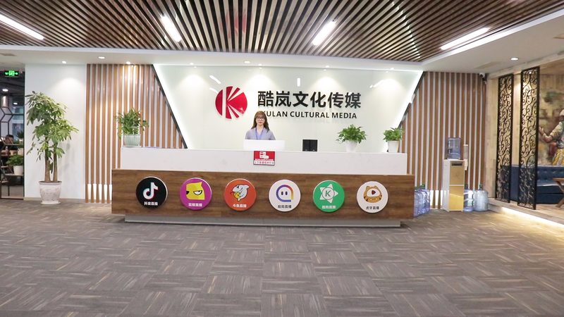 揭秘上海VI设计公司报价背后的秘密