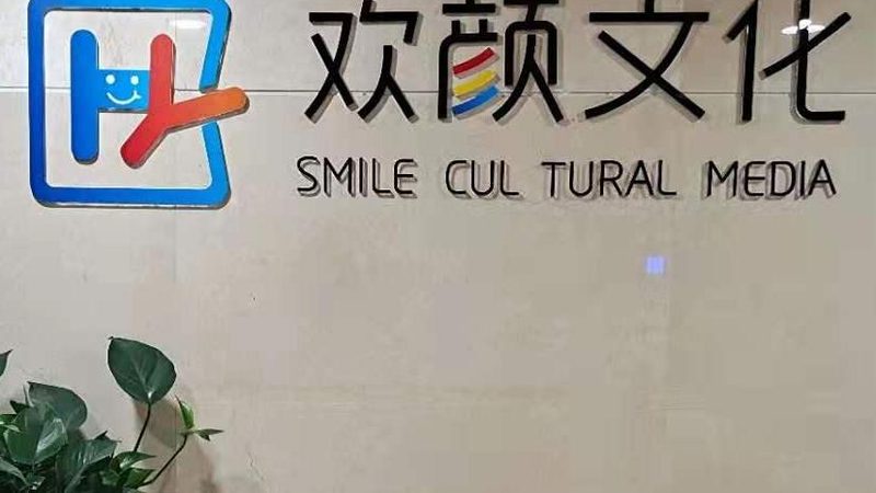 影视制作代理公司排名：揭秘行业背后的真相